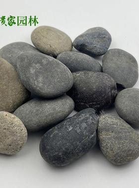 鹅卵2-3公分深圳色黑色杂色富贵家墙面石用卵石基UZZ地白多量供发