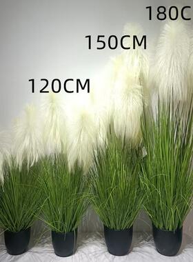 芦苇仿花绿毛真虫箱尾草景观猫毛毛虫假仿真草花造OPN景植毛毛仿