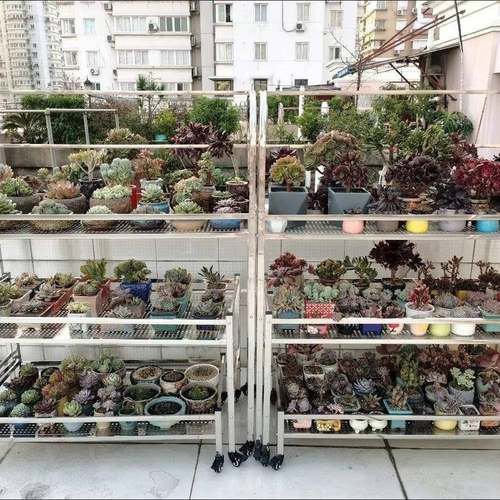 台可移动花架外庭ZDR阳院带雨棚带轮不架锈钢花组合多肉专户用花