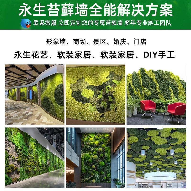 真苔藓假植物墙景观造景仿仿真绿QHG植苔藓墙面装饰永生藓苔工厂