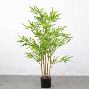 仿林真竹子绿植盆栽室内装BDV饰人假竹子真造竹摆竿园酒店植物造