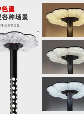 公园广场景观照明外RCI灯户防院水高杆路灯庭智能感应led太阳能灯