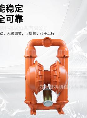 ILDE威顿隔膜泵T15/AAAAB/NES/NE/NE/0尔94165014污泥W泵陶N瓷泵