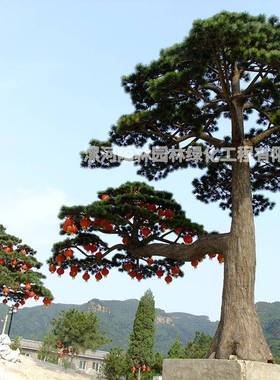 中式仿真树绿植人松假树造型装饰家居植FZFS-250型物设计工松程大