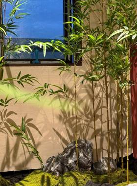 仿假真竹子造景室内33725景观新式绿植中盆景庭院酒隔断植店物装