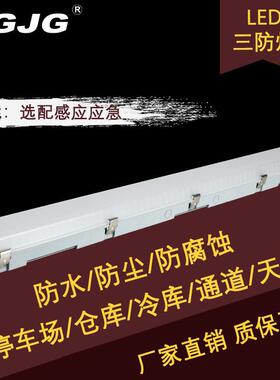 OG-SF高品质led照明T5T8单管PC罩灯防水冷车三防净化灯库支库架灯