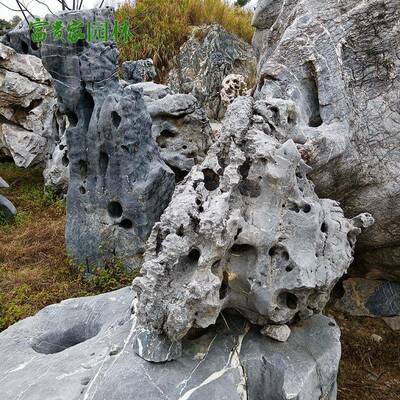 观富贵家石业形状各小00301区绿化造景奇石异中山太石湖园林景饰