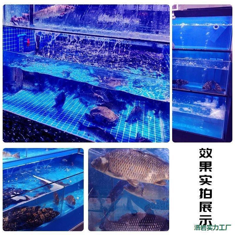 超市饭店海鲜缸鱼池海鲜鲜KIZ鱼缸池海池商两层贝类酒店移动式一