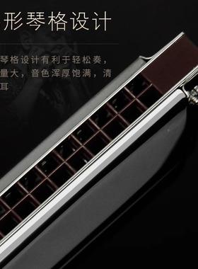 演天音12614鹅追梦人28孔重复音C口琴高端成人专业调奏级乐器