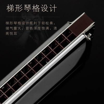 演天音12614鹅追梦人28孔重复音C口琴高端成人专业调奏级乐器