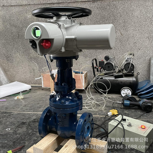 电动法兰闸阀Z941Y-25C防爆BT4