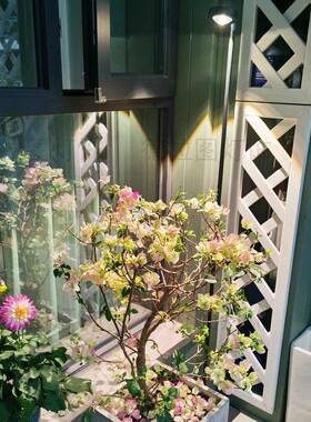 植补光灯室内地热植仿太阳光照灯植多QJQ肉生长落灯全光谱绿物用