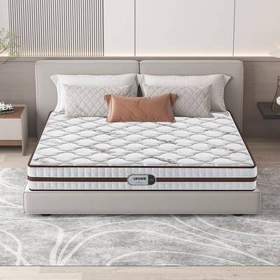 床垫防乳胶梦床垫椰棕乳胶螨护脊弹簧席家用硬两用1.8/NYJ软1.5m
