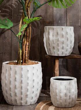 仙人掌型镁大口径GZX花仿古白色落地大花泥器盆摆件孟加拉树造琴