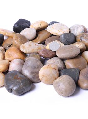 彩抛光鹅卵石园林铺路池鱼52239缸水垫底天然五彩色花雨石头