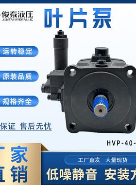 JUNTAI俊泰液压油泵 叶片泵 HVP-30-FA3 HVP-40-FA3中高压叶片泵