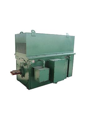 高压三相异步电动机 YKK5601-4/900KW/10KV/6KV/3.3KV