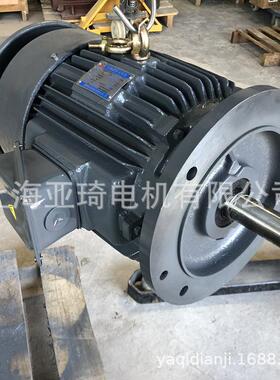 苏州电机有限公司 AEVF/AEEF/AEVP/AEEP/AEVH立式马达