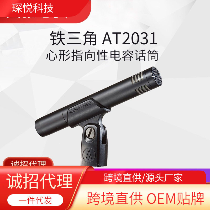 AudioTechnica/铁三角AT2031电容麦钢琴提琴吉他人声专业话筒
