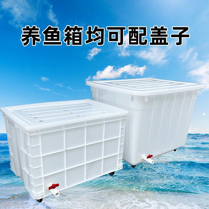 特大带轮子转养龟带排水百灵口养鱼水箱周带孔水产养号殖带箱轱辘