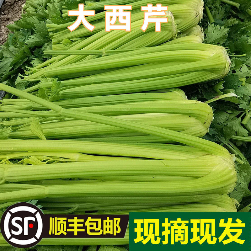 顺丰包邮新鲜水果西芹当季蔬菜生吃即食素食凉拌沙拉当季时令蔬菜