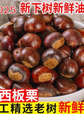 迁西板栗新货现挑精选3113正宗板栗生新鲜油栗子大粒河北毛栗板粟