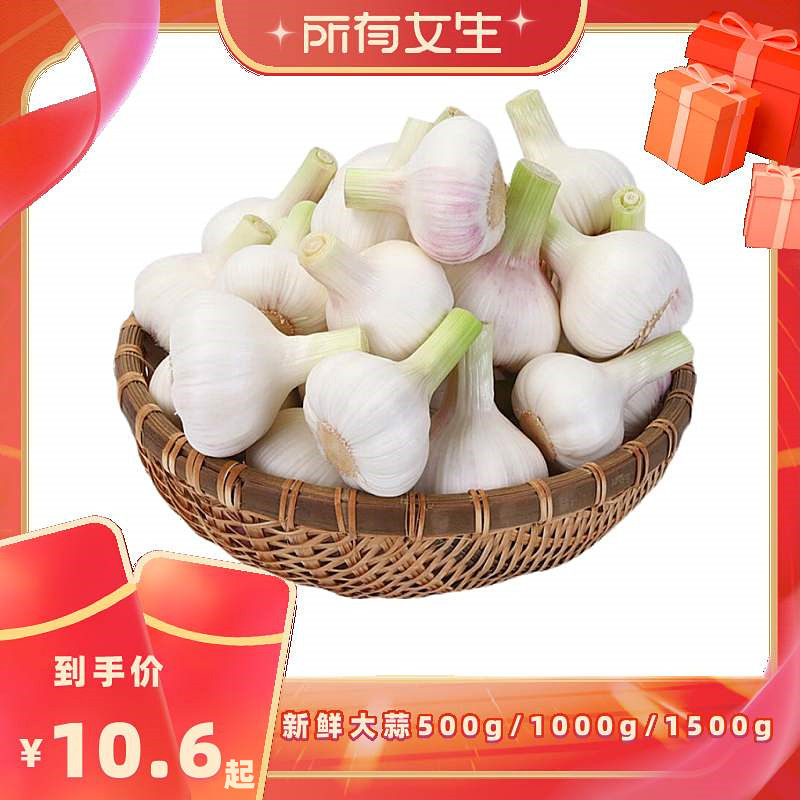 【所有女生直播间】鲁香德新鲜大蒜头非干蒜多瓣大蒜鲜蒜嫩蒜蔬菜