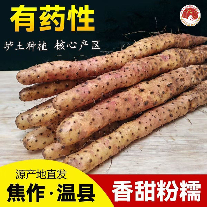鲁香德铁棍山药新鲜正宗河南焦作温县垆土山药蔬菜铁杆铁棒怀山药