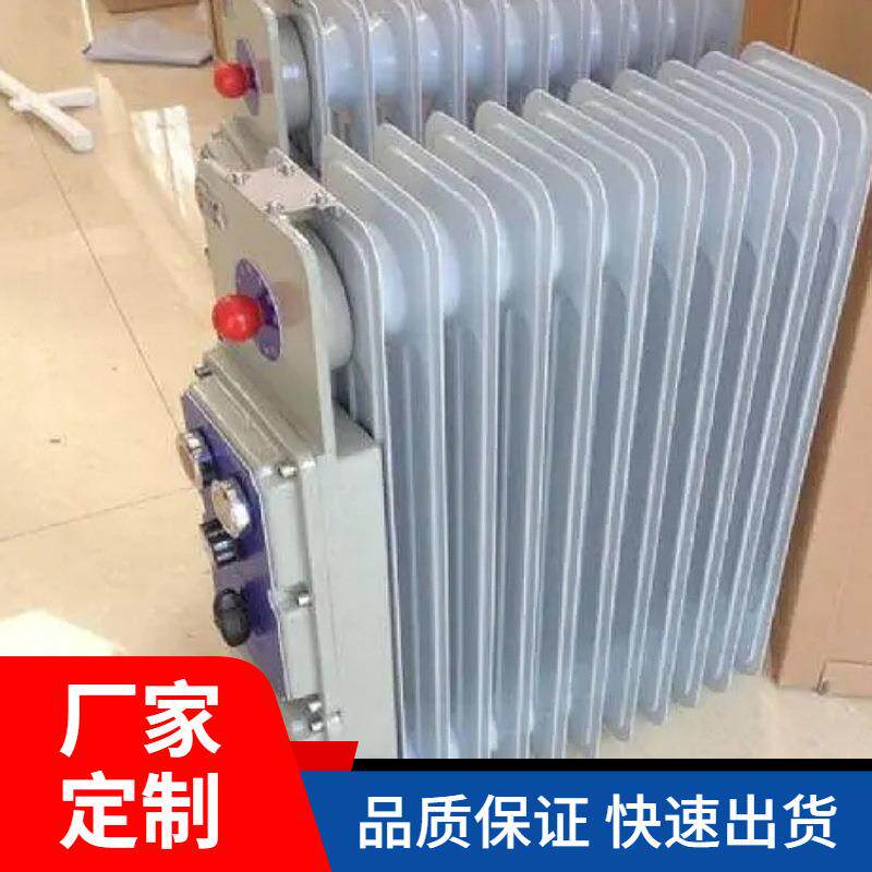 小型防爆油汀现货供应矿井下用取暖设备防爆电热取暖器