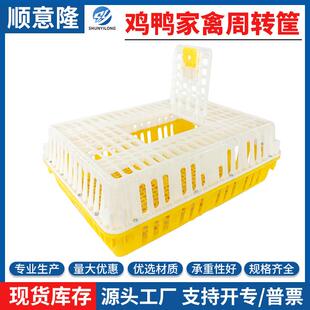 大号鸡用周转筐家禽运输笼鸡鸭鹅周转箱特厚塑料鸽兔养殖笼