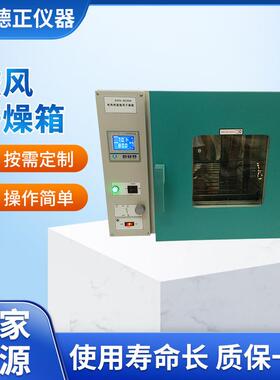 德正仪器DHG系列鼓风干燥箱实验室不锈钢烘箱电热恒温鼓风干燥箱