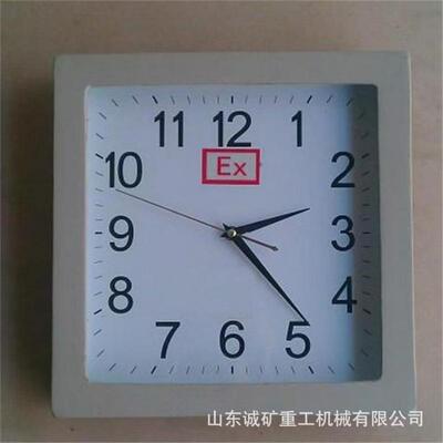 BSZ2010型防爆石英钟走时准确可靠造型美观