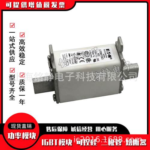 170M1568D170M1569D170M1570D170M1571D170M1572D巴斯曼熔丝