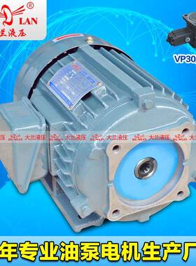DALAN大兰9齿花键液压电机花键VP30油泵电机DL-90L-4-HJ-1.5KW