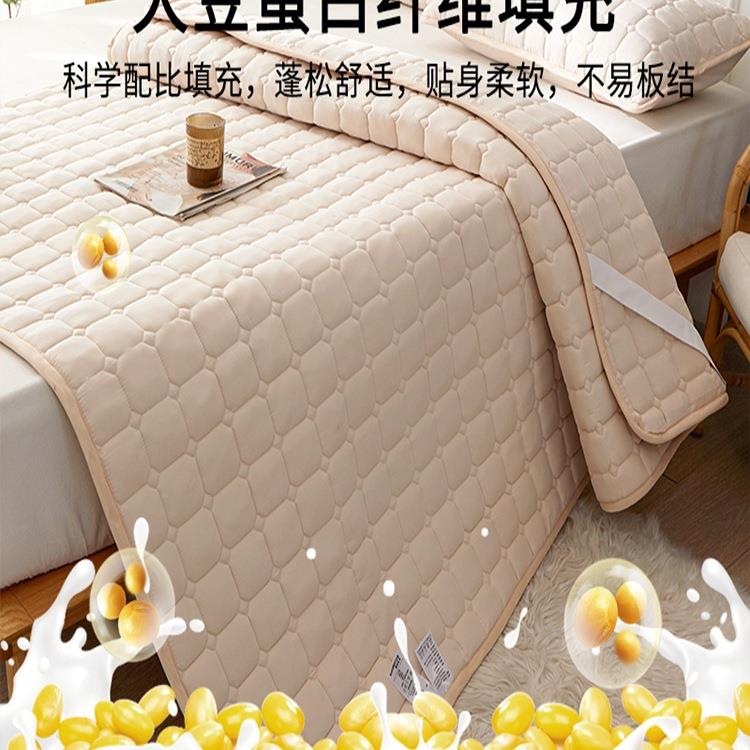 防床F98TSJ65大豆夹棉防水垫防护潮防尘床罩滑床垫保套学生宿舍出