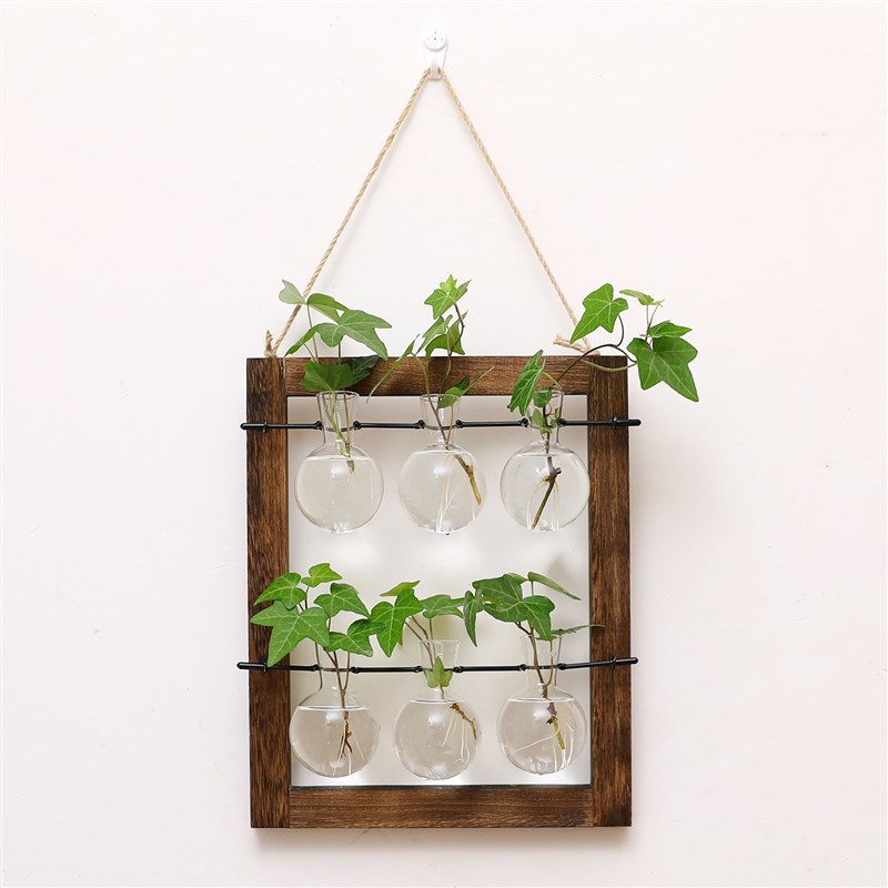 创意绿萝水培植物玻璃透明花瓶插花水养花盆麻绳试管挂墙客厅摆件