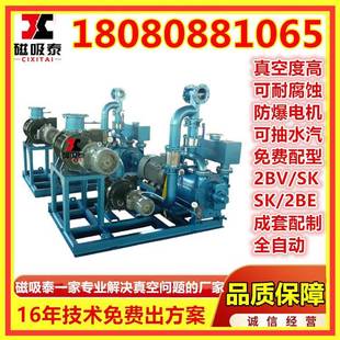 JZJ2S600 300罗茨增压泵2SK12真空泵31.5K 2.1水环真空机组ZJP600