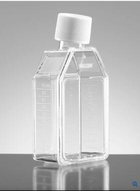 12.5cm²长方形斜颈细胞培养瓶，带蓝色通风螺丝帽货号353107