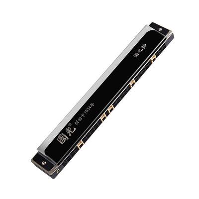 德国进口音演簧2孔复EZW8音口琴重音专业2奏级4孔初学者入门