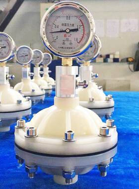 VPDF脉冲阻尼缓冲器S器CYH阻-MP/F尼641器PVDF隔膜式阻尼器