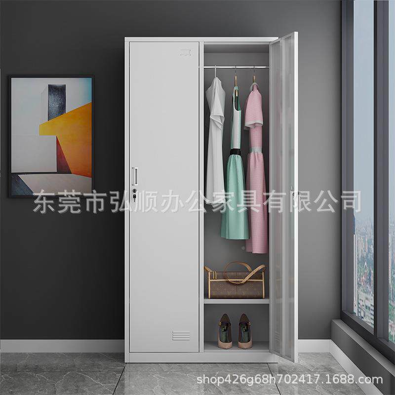 舍铁皮储物柜二门衣加二门更衣厚钢制柜办公室文柜件宿柜二门员工