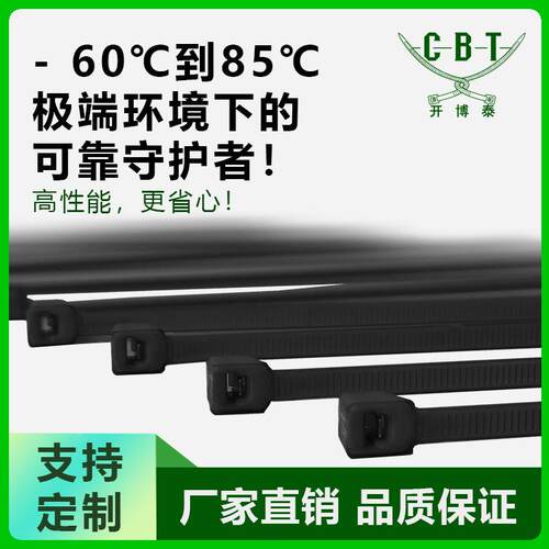 -60℃耐低温抗化耐外工程冷链专用候抗腐蚀扎带PA12尼户脆54龙线