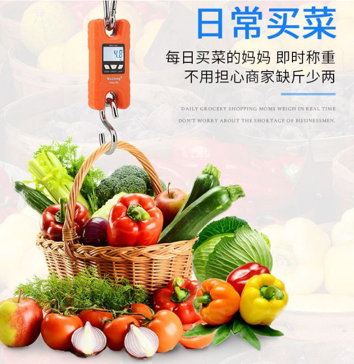 500KG小吊秤简洁设计微型电子吊秤