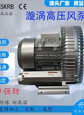 18.5KW漩涡高压风机RB-91D-4旋涡式气泵18.5千瓦吸附平台漩涡气泵