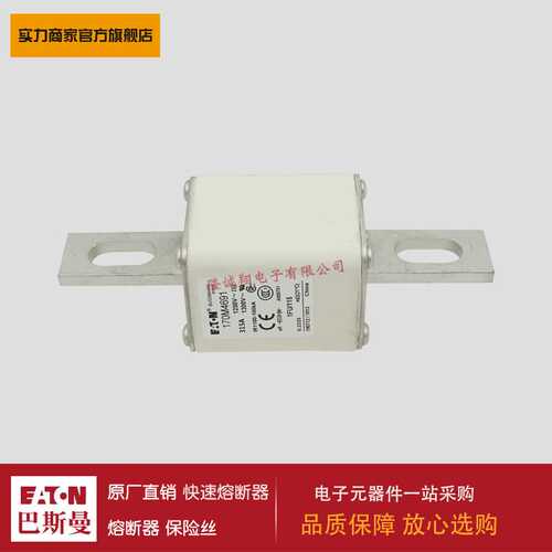 熔断器170M4690 170M4691 170M4692 170M4693 170M4694 170M4695