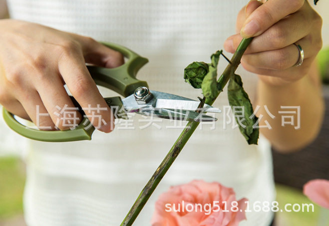 沃施尖头家用剪1087修枝剪盆景工具花木树.25家庭园艺剪刀