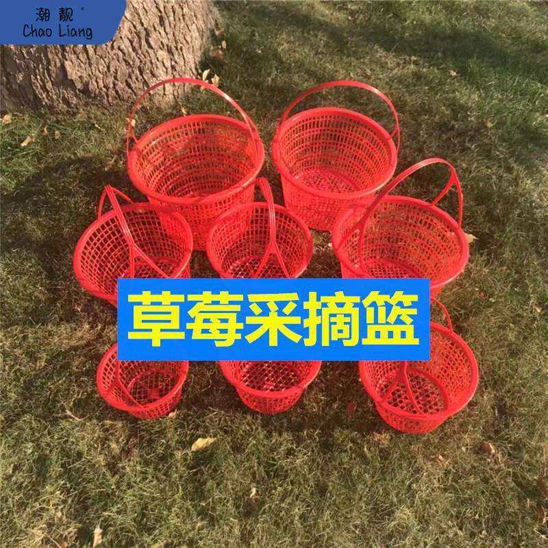 莱蓝篮子塑料一次性水果葡萄小筐子草莓框商用桑甚采摘两斤的包邮