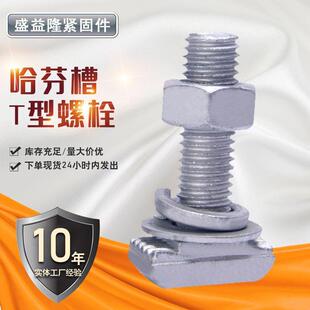 供应哈芬槽螺栓高强度8.8级热镀锌T型螺丝组合加工带齿哈芬槽螺栓