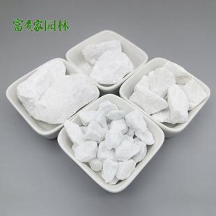 水洗墙白色石制子317建筑机小石磨子水石园面林水池铺底卵石