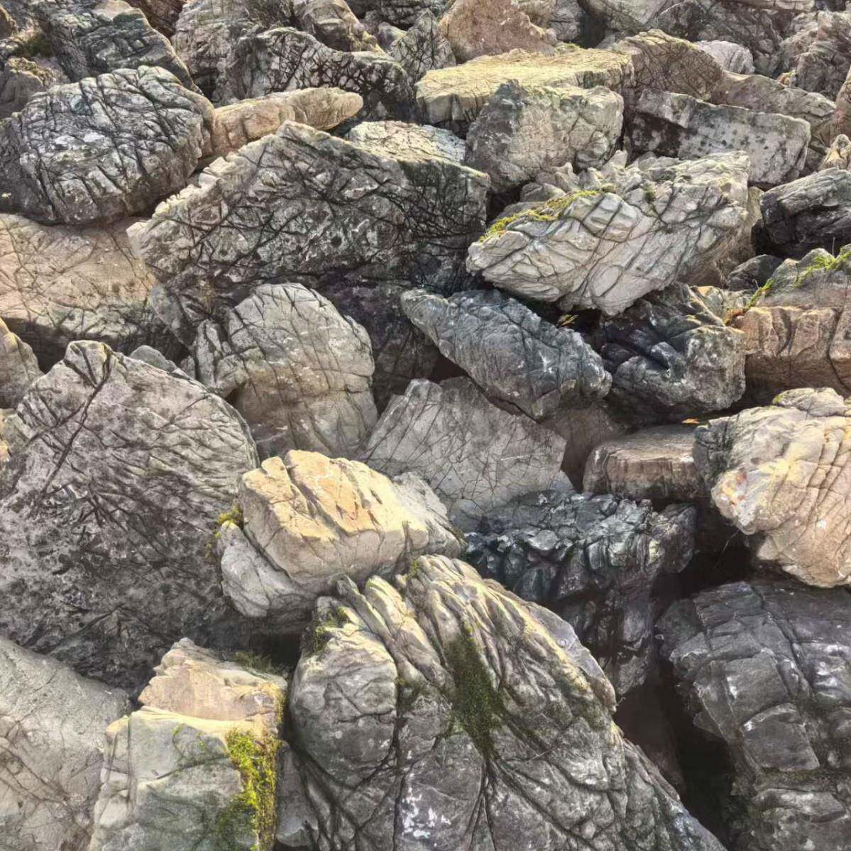 龟纹石假山山庭院鱼池石造景假制001作驳岸草坪石摆放化点缀绿石